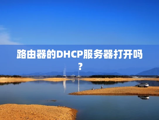 路由器的DHCP服务器打开吗？