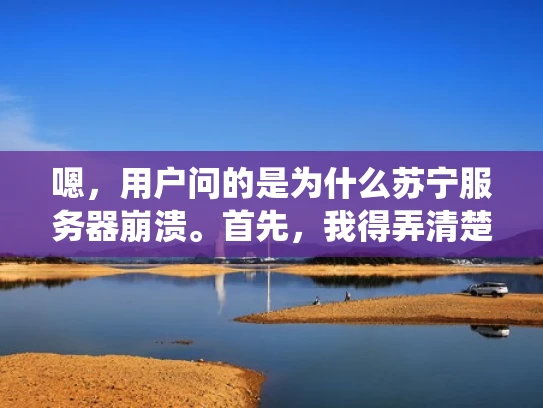嗯，用户问的是为什么苏宁服务器崩溃。首先，我得弄清楚苏宁指的是什么。苏宁可能是一个公司、一个项目，或者是一个特定的服务器。考虑到用户提到的是服务器崩溃，可能苏宁指的是某个公司的服务器系统出现了问题