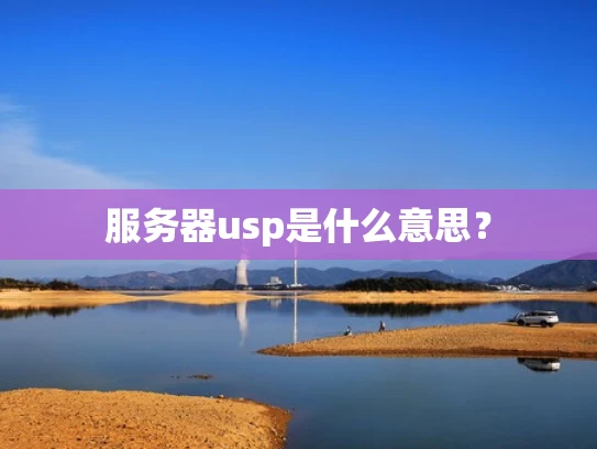 服务器usp是什么意思？