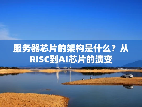 服务器芯片的架构是什么？从RISC到AI芯片的演变