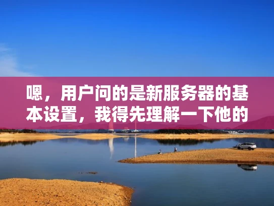 嗯，用户问的是新服务器的基本设置，我得先理解一下他的需求。他可能是个刚开始配置服务器的新手，或者是企业 IT 人员，需要一个全面但不复杂的指南