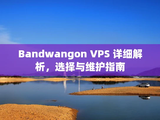 Bandwangon VPS 详细解析，选择与维护指南