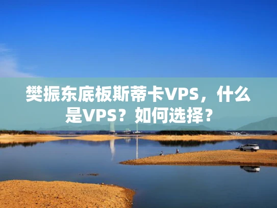 樊振东底板斯蒂卡VPS，什么是VPS？如何选择？