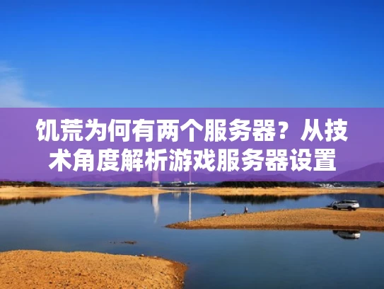 饥荒为何有两个服务器？从技术角度解析游戏服务器设置