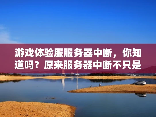游戏体验服服务器中断，你知道吗？原来服务器中断不只是游戏变慢！