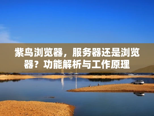 紫鸟浏览器，服务器还是浏览器？功能解析与工作原理