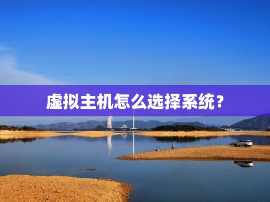 虚拟主机怎么选择系统？