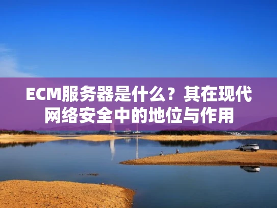 ECM服务器是什么？其在现代网络安全中的地位与作用