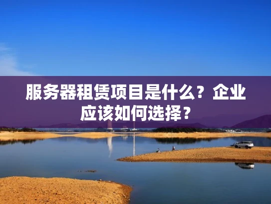 服务器租赁项目是什么？企业应该如何选择？
