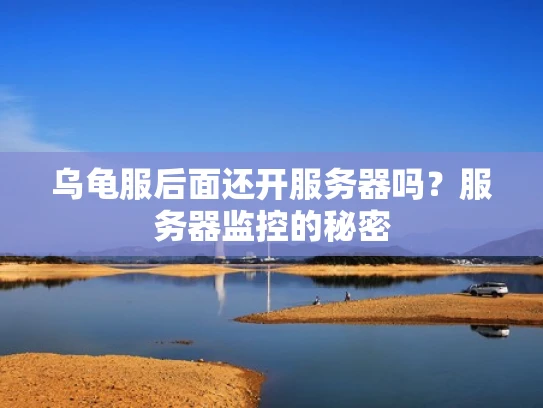 乌龟服后面还开服务器吗？服务器监控的秘密