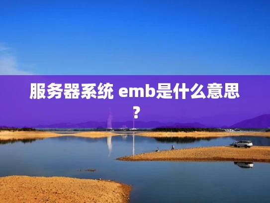 服务器系统 emb是什么意思？