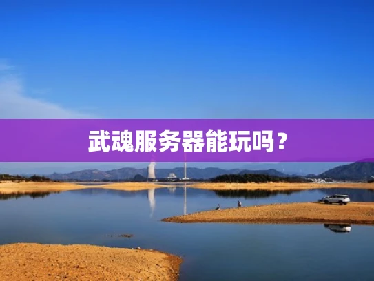 武魂服务器能玩吗？