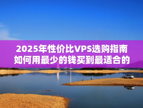 2025年性价比VPS选购指南如何用最少的钱买到最适合的服务器？