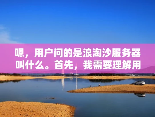 嗯，用户问的是浪淘沙服务器叫什么。首先，我需要理解用户的问题。看起来用户可能在问浪淘沙这个服务器的名字，或者是指某个服务的名称。也有可能用户是在问浪淘沙这个服务器的别名，或者是某个软件中的服务名称