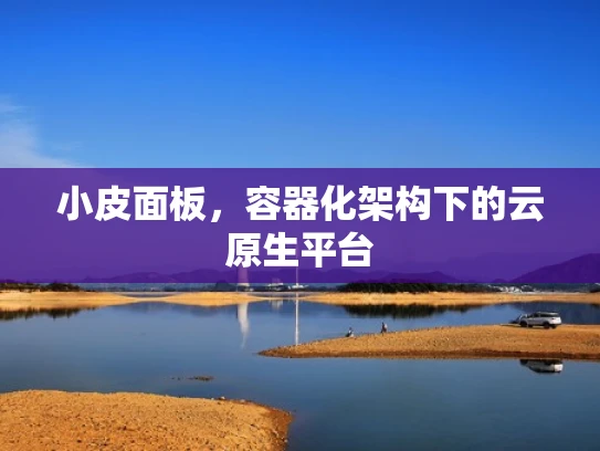 小皮面板，容器化架构下的云原生平台