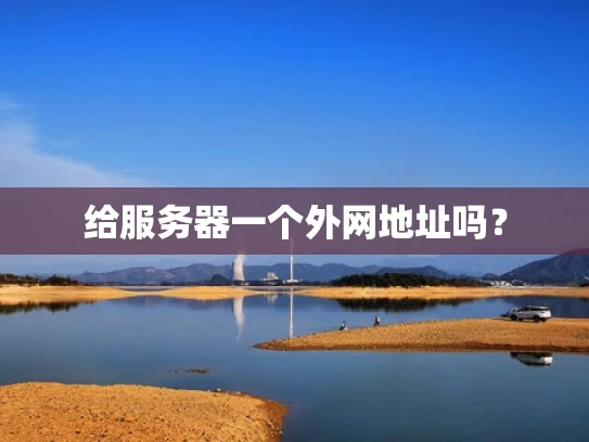 给服务器一个外网地址吗？
