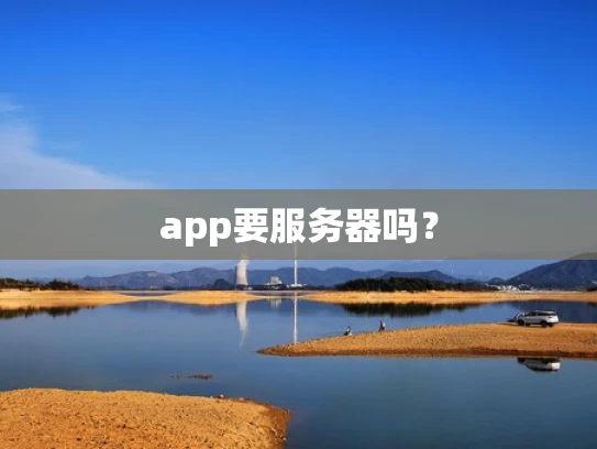 app要服务器吗？