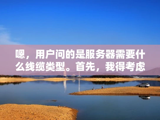 嗯，用户问的是服务器需要什么线缆类型。首先，我得考虑用户可能是什么身份，可能是一个刚开始接触服务器的人，或者是一个网络管理员。他们可能不太清楚服务器内部的线缆需求，所以需要详细解释