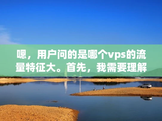 嗯，用户问的是哪个vps的流量特征大。首先，我需要理解用户的问题。他们可能是在选择虚拟主机的时候，想要知道哪种类型的VPS在流量使用上更占优势。可能他们在考虑长期运行或者高并发访问的情况