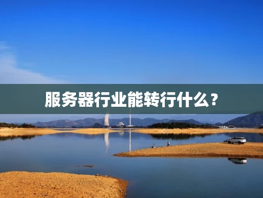 服务器行业能转行什么？