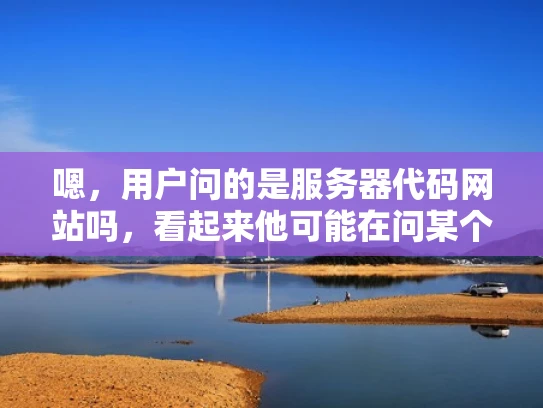 嗯，用户问的是服务器代码网站吗，看起来他可能在问某个网站是否是服务器代码的。首先，我需要理解他的问题到底是什么。可能他看到一个网站，想确认这个网站是否提供服务器代码或者相关的开发资源