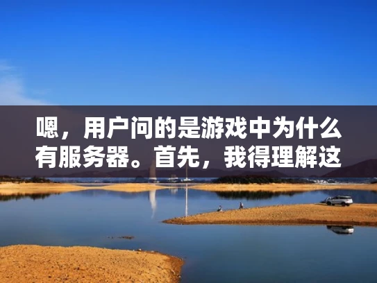 嗯，用户问的是游戏中为什么有服务器。首先，我得理解这个问题。可能用户是刚接触游戏的新手，或者对游戏技术感兴趣，想了解游戏运行的基本原理