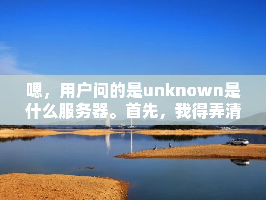 嗯，用户问的是unknown是什么服务器。首先，我得弄清楚用户的具体需求是什么。他可能是在网络中遇到了一个未知的服务器，想了解它是什么，或者遇到了什么问题