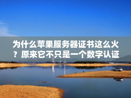 为什么苹果服务器证书这么火？原来它不只是一个数字认证！