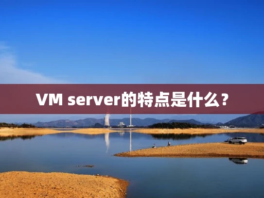 VM server的特点是什么？