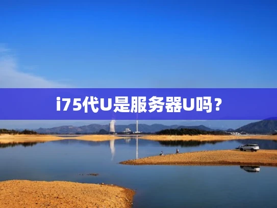 i75代U是服务器U吗？