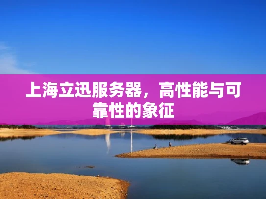 上海立迅服务器，高性能与可靠性的象征