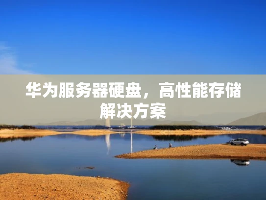 华为服务器硬盘，高性能存储解决方案