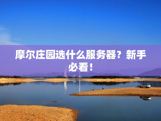 摩尔庄园选什么服务器？新手必看！