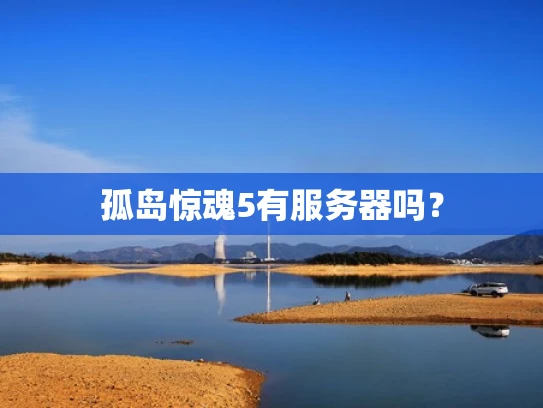 孤岛惊魂5有服务器吗？