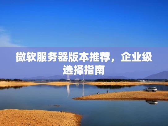 微软服务器版本推荐，企业级选择指南