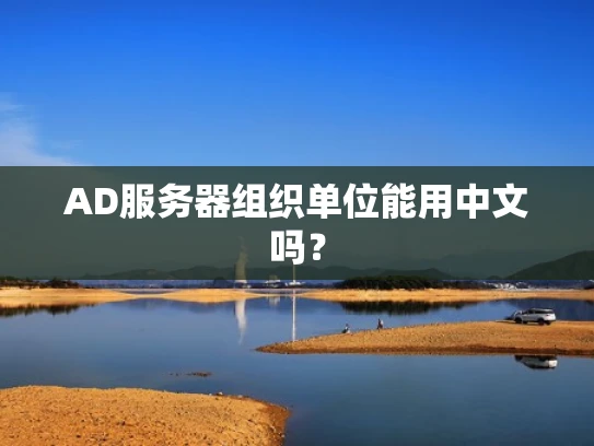 AD服务器组织单位能用中文吗？