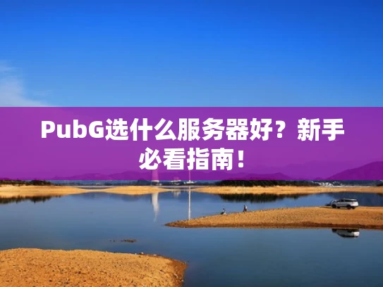 PubG选什么服务器好？新手必看指南！
