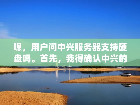 嗯，用户问中兴服务器支持硬盘吗。首先，我得确认中兴的服务器型号，因为不同的服务器可能有不同的存储支持。中兴有很多服务器产品，比如Cobham、Edge、Orion等，每款都有不同的特点