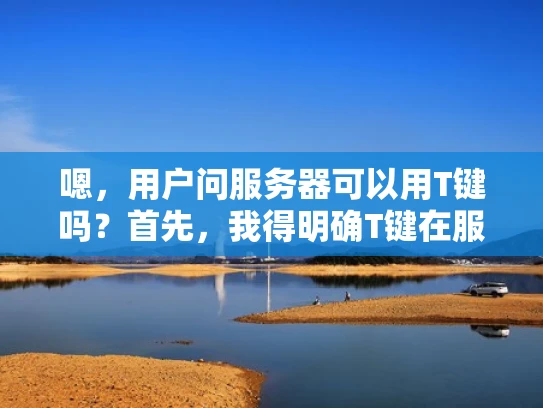 嗯，用户问服务器可以用T键吗？首先，我得明确T键在服务器中的作用。服务器上的T键通常是用于重启的快捷键，比如F1、F2这些常用键，而T键可能在特定情况下使用