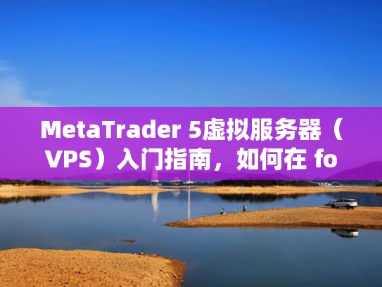 MetaTrader 5虚拟服务器（VPS）入门指南，如何在 forex 交易中高效运行