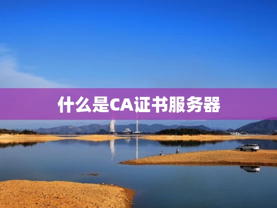 什么是CA证书服务器