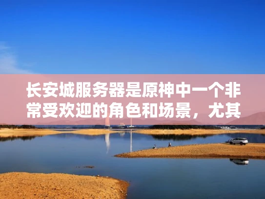 长安城服务器是原神中一个非常受欢迎的角色和场景，尤其在安第斯山脉中。长安城服务器的烟花区是一个特色任务区，位于长安城的中心地带，靠近主城的广场。玩家可以通过进入烟花区来触发特定的任务和活动