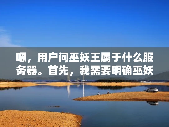 嗯，用户问巫妖王属于什么服务器。首先，我需要明确巫妖王是什么。巫妖王是巫师3中的主要角色，他所在的服务器应该属于游戏服务器。游戏服务器通常分为公会服务器和自由服两种类型