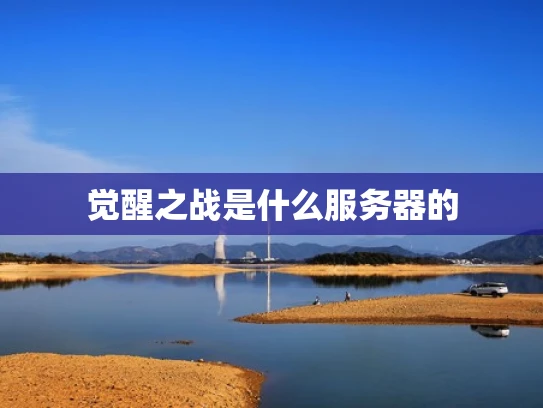 觉醒之战是什么服务器的