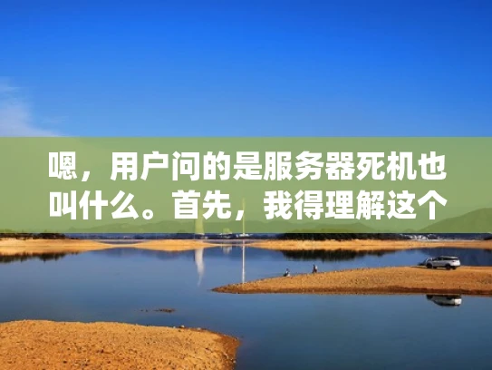 嗯，用户问的是服务器死机也叫什么。首先，我得理解这个问题。服务器死机通常指的是服务器无法响应请求，无法执行命令，或者系统崩溃，无法正常运行。那么，除了服务器死机这个名称，有没有其他常见的称呼呢？