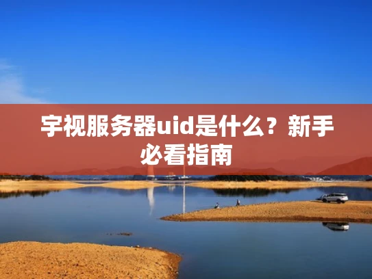 宇视服务器uid是什么？新手必看指南