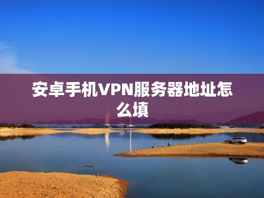 安卓手机VPN服务器地址怎么填