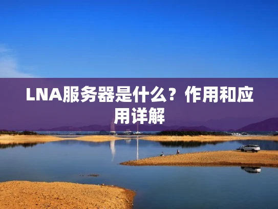 LNA服务器是什么？作用和应用详解