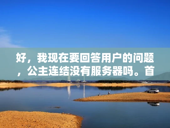 好，我现在要回答用户的问题，公主连结没有服务器吗。首先，我需要理解用户的问题。他们可能刚接触原神或者对游戏服务器的概念不太清楚，所以才会问这个问题