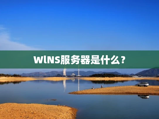 WlNS服务器是什么？
